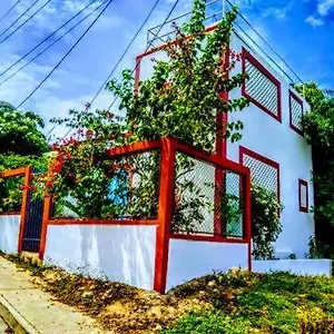 Hamacas , Cartagena Colombia